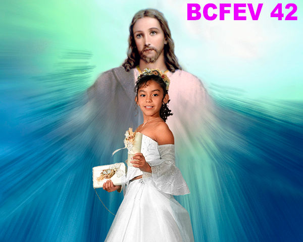BCFEV (42)