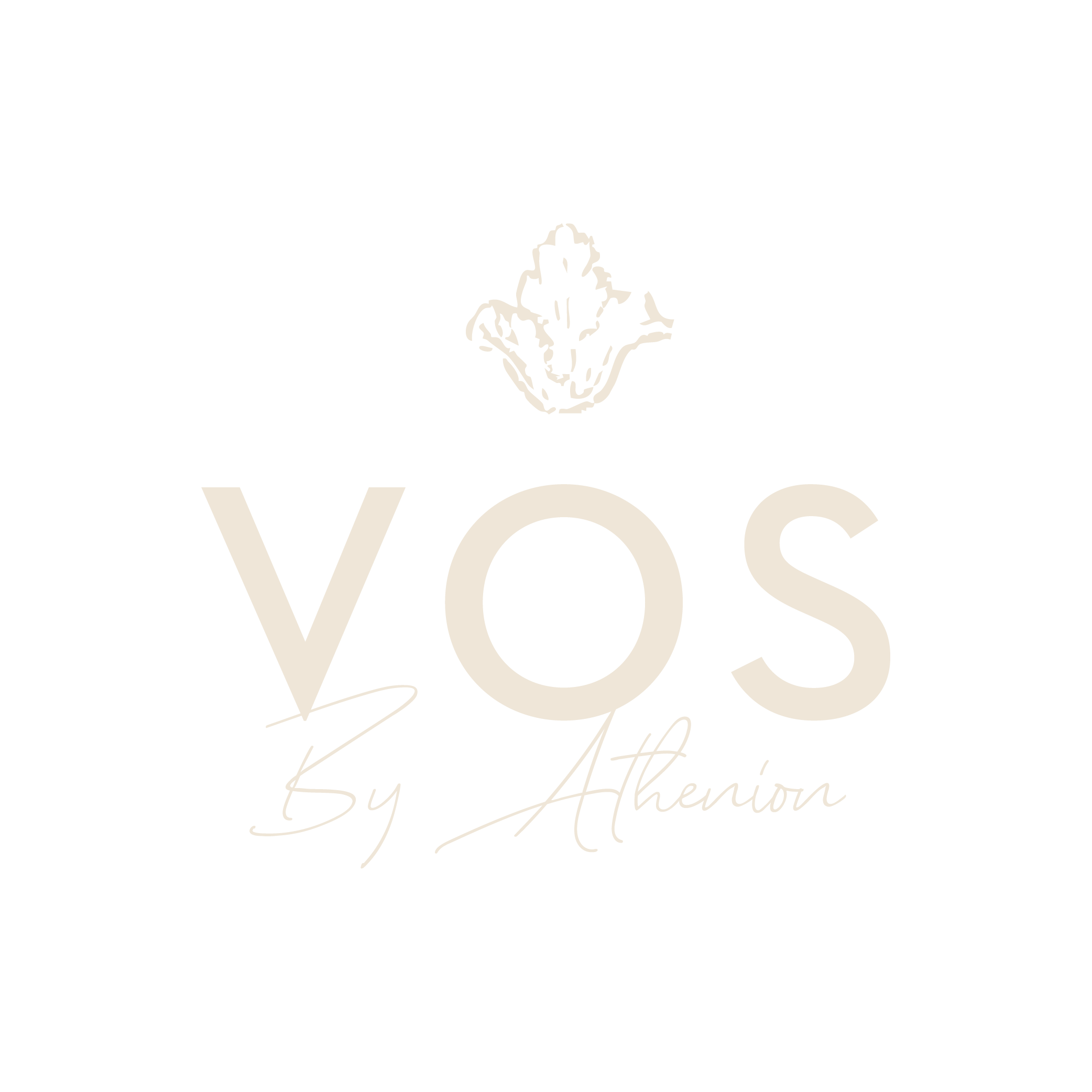 VOS - BEIGE.png