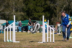IMG_7872.jpg