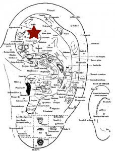 drawing of an ear with about 100 points indicated