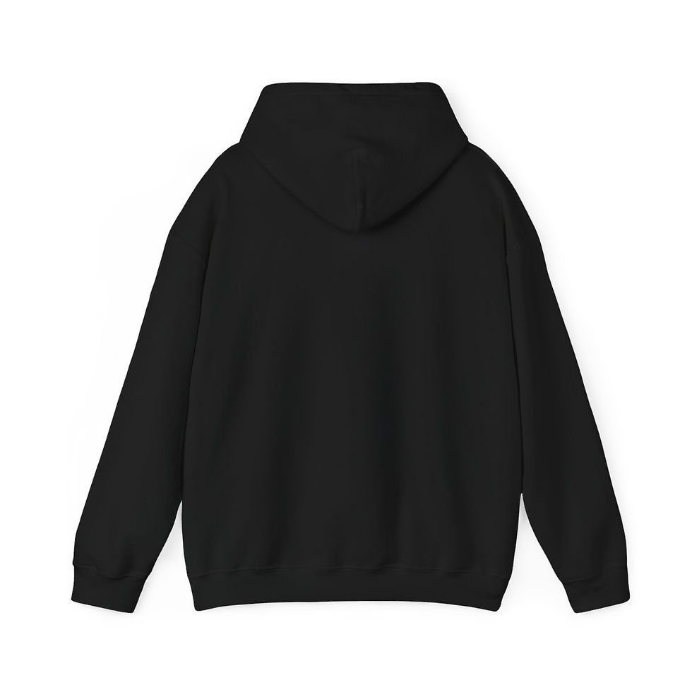 Thumbnail: the cat hoodie