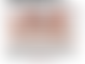 On November 4th, save the date for a PEACEFUL TRANSFER OF POWER!