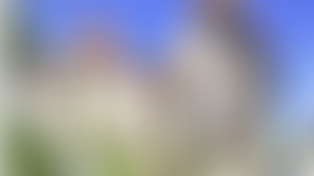 Florent Pagny : l’histoire de la maison près de Paris où il a vécu son amour lumineux avec Vanessa Paradis