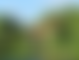 Bruno Salomone : la maison discrète de l’île Fanac où il s’est éteint à 55 ans, un refuge chargé de souvenirs