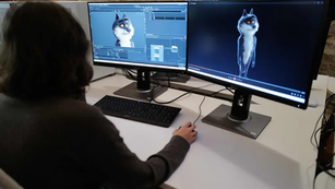 Coulisses Les dessous de la pub du loup d’Intermarché : 18 mois de travail, Paris sous 42°C, Albert Dupontel…