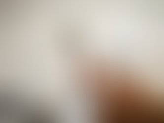 Le loup "mal-aimé" de la pub et le jeu vidéo "Clair Obscur" y sont nés : la recette du succès made in Montpellier