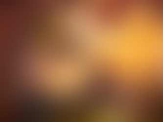 "Attention aux fraudes !" : Intermarché alerte sur des contrefaçons du loup "mal aimé", star de sa publicité de Noël