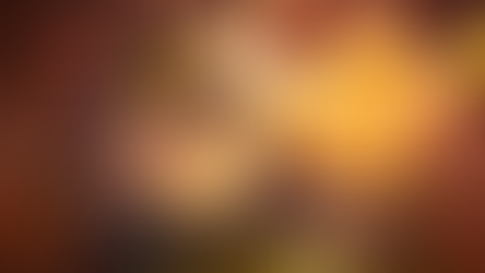 "Attention aux fraudes !" : Intermarché alerte sur des contrefaçons du loup "mal aimé", star de sa publicité de Noël