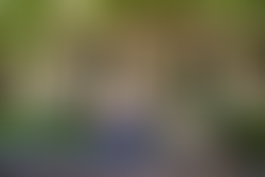 « Il n’y a pas un autre endroit où je me verrais vivre » : à 50 ans, Christophe Maé a choisi une vie vraie, loin du bruit et près de l’essentiel