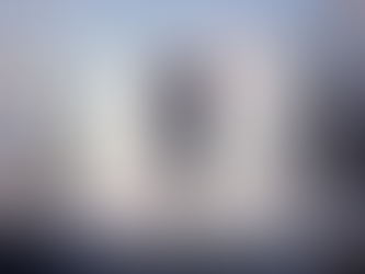 Gare au loup : la peluche du loup “mal aimé”, phénomène mondial grâce à la publicité Intermarché, n’arrivera en magasin qu’en 2026