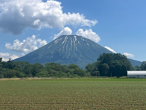 羊蹄山.jpeg