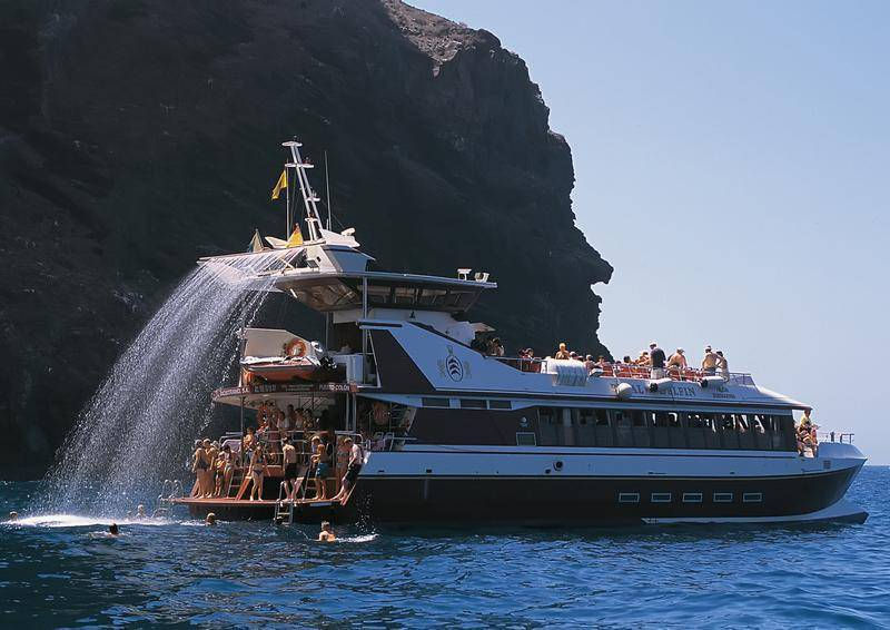Whale and dolphin boat trip tenerife with Royal Delfin glass bottomcatamaran