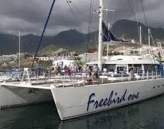 Freebird sailing tenerife, catamaran for whales and dolphins