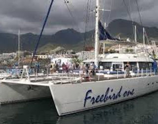 Freebird sailing tenerife, catamaran for whales and dolphins