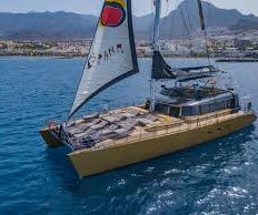 Freebird sailing tenerife, catamaran for whales and dolphins