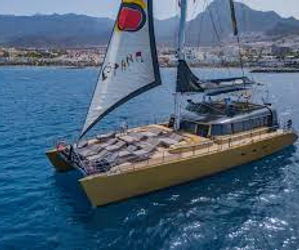 Freebird sailing tenerife, catamaran for whales and dolphins