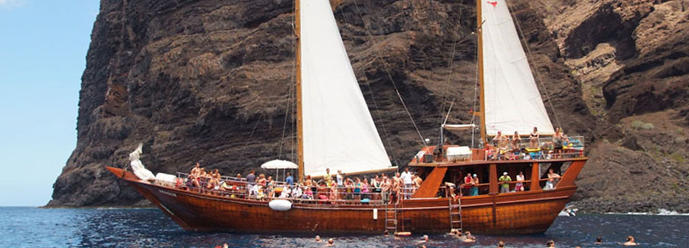 See the whales and dolphins Tenerife on sailing yacht