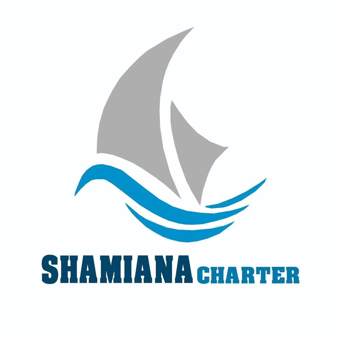 Motor boat excursion, see the whales and dolphins of Tenerife