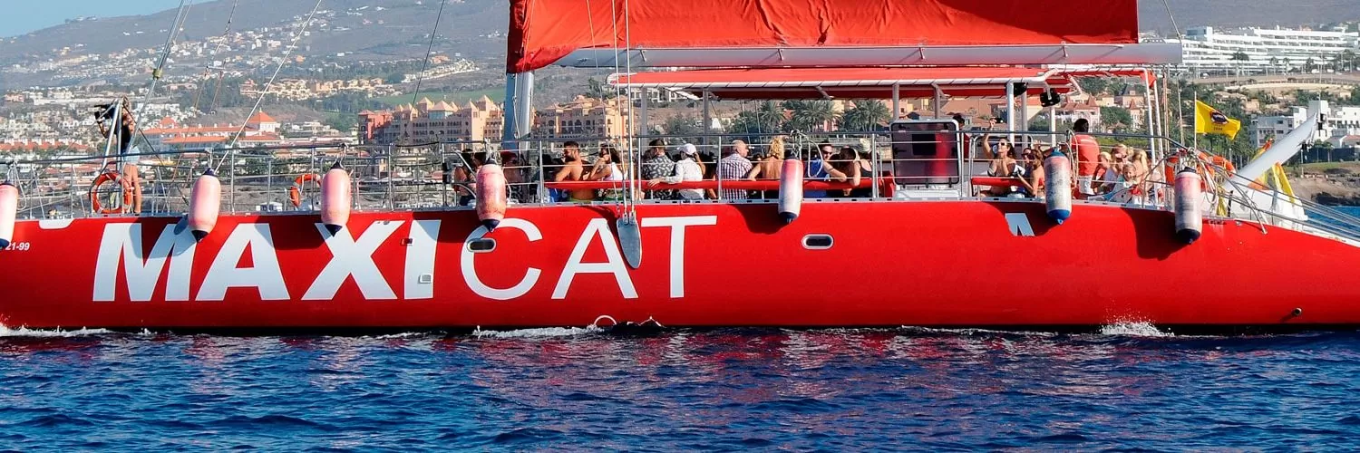 Tenerife whales and dolphins  with Maxi Catamaran sailing