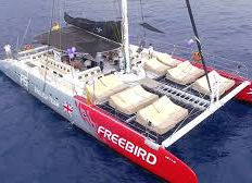 Freebird sailing tenerife, catamaran for whales and dolphins
