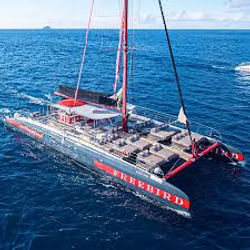 Freebird sailing tenerife, catamaran for whales and dolphins