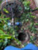 Plumbing snake entering an outdoor drain