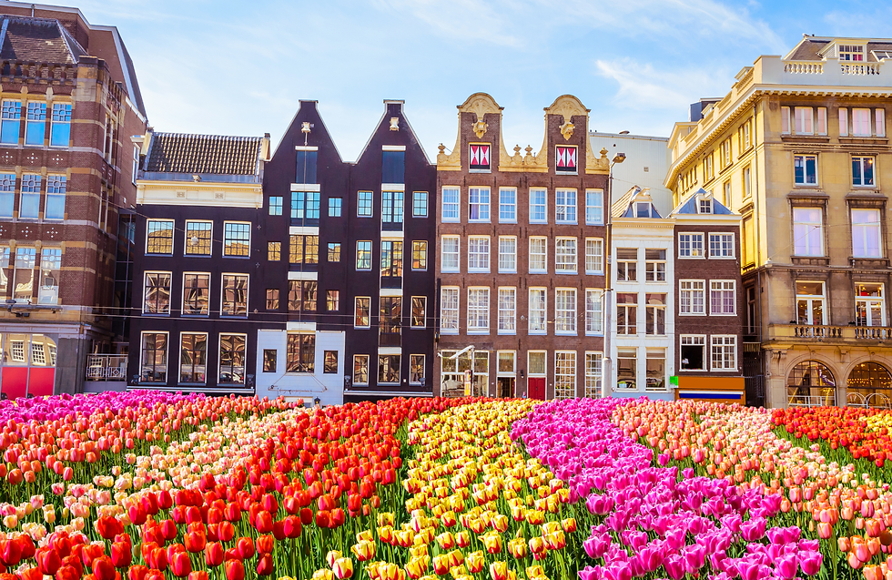 Flowers bloom in Netherlands