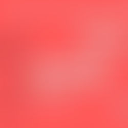 Samedi 19 Juin - Le marché électronique