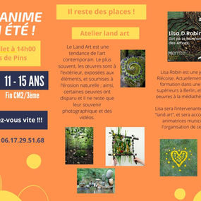 Animation ados - Venez découvrir le land art !!!