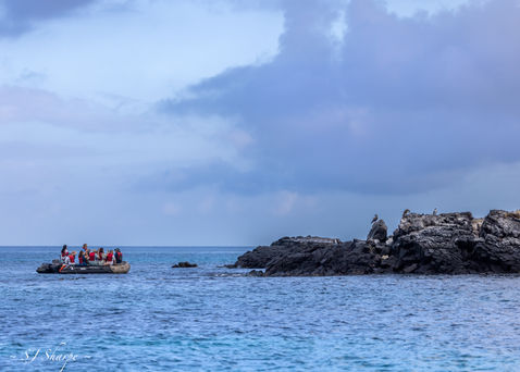 Galapagos, Galápagos Islands, zodiac cruising, zodiac, expedition