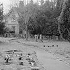 35 mm for website_edited_edited.jpg