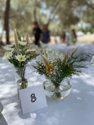 IMG_2041.jpeg
