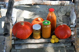 fermentovane pozdni leto_divozenkavkuchy