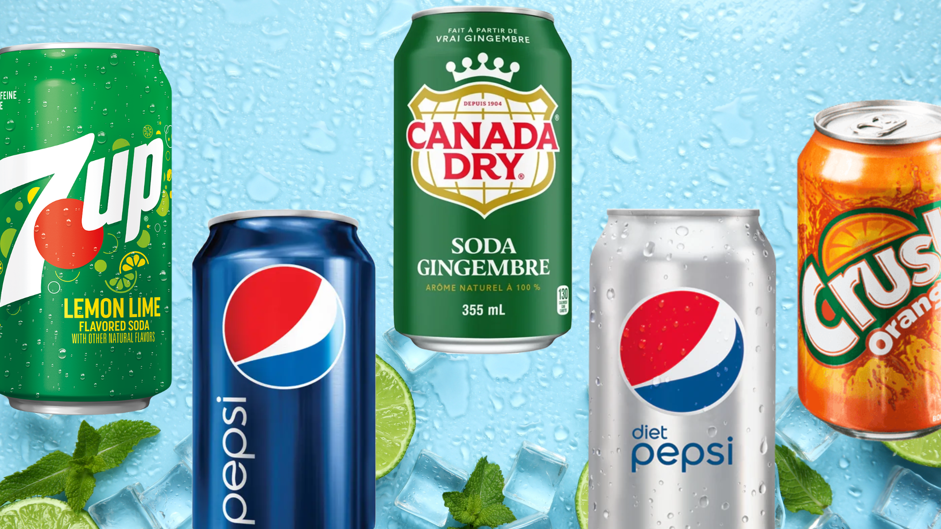 Arranged Food and Objects