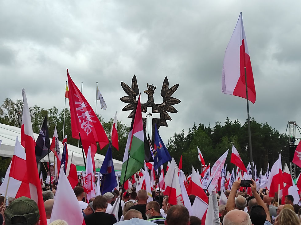 Odsłonięcie pomnika w Domostawie.