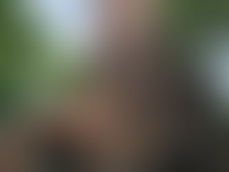 Zamek w Ostrzeszowie