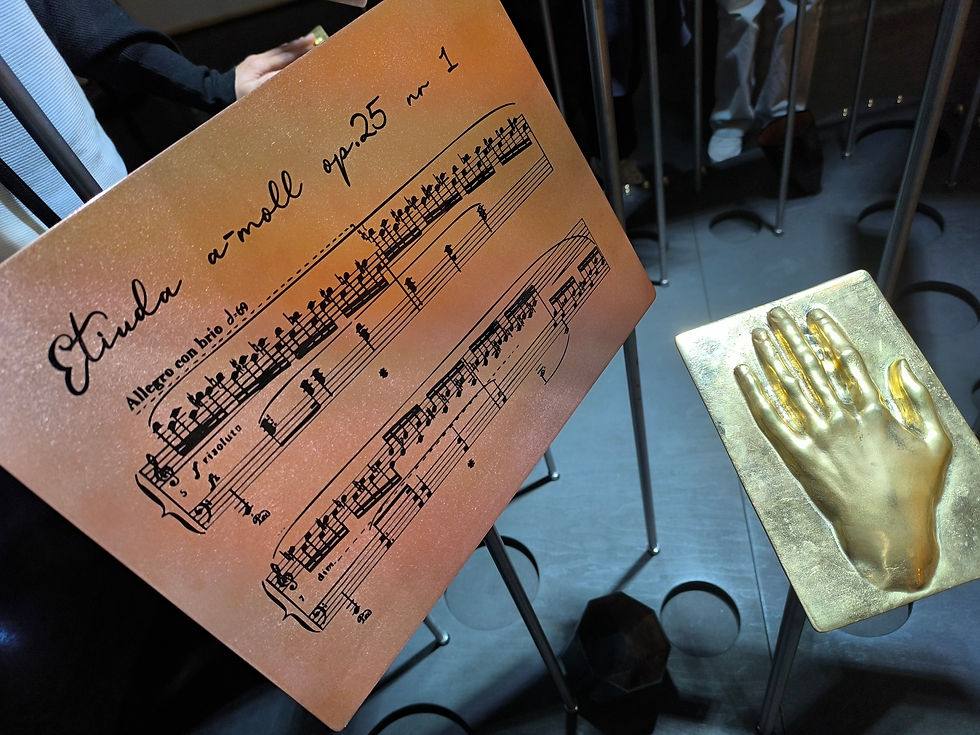 Wystawa immersyjna (fragment).