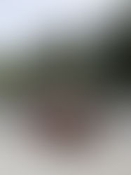 81 rocznica bitwy pod Andrzejewem