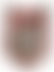 Kapitulacja 18 Dywizji Piechoty