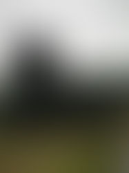 Polskie obozy zagłady, cz. I (3)