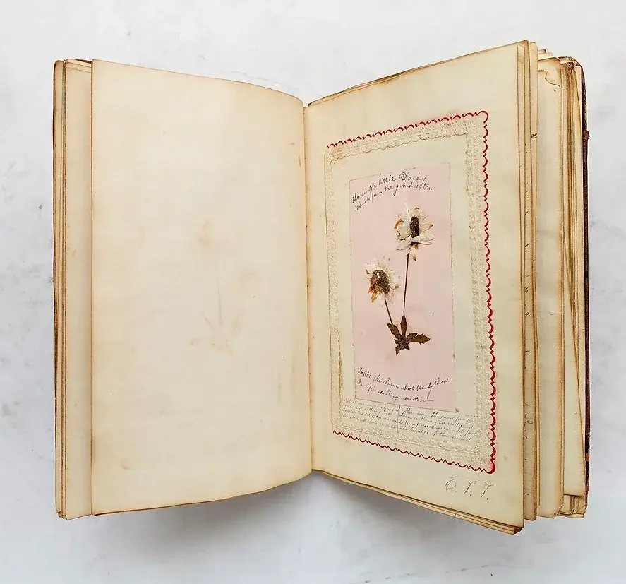 Thumbnail: Create your own Sketch Book - Book Binding