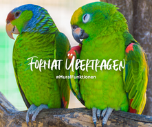 MURAL Funktionen | Format übertragen