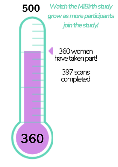 thermometer (A3) (1).png