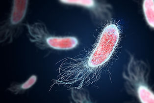 UTI microbiome.jpg