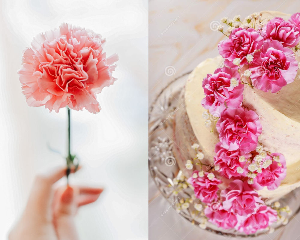 Bunga Bisa Dimakan? Lihat 5 Jenis Bunga yang Bisa Dimakan atau Edible