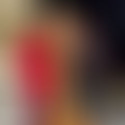 Veel prijzen bij carnavalsbingo