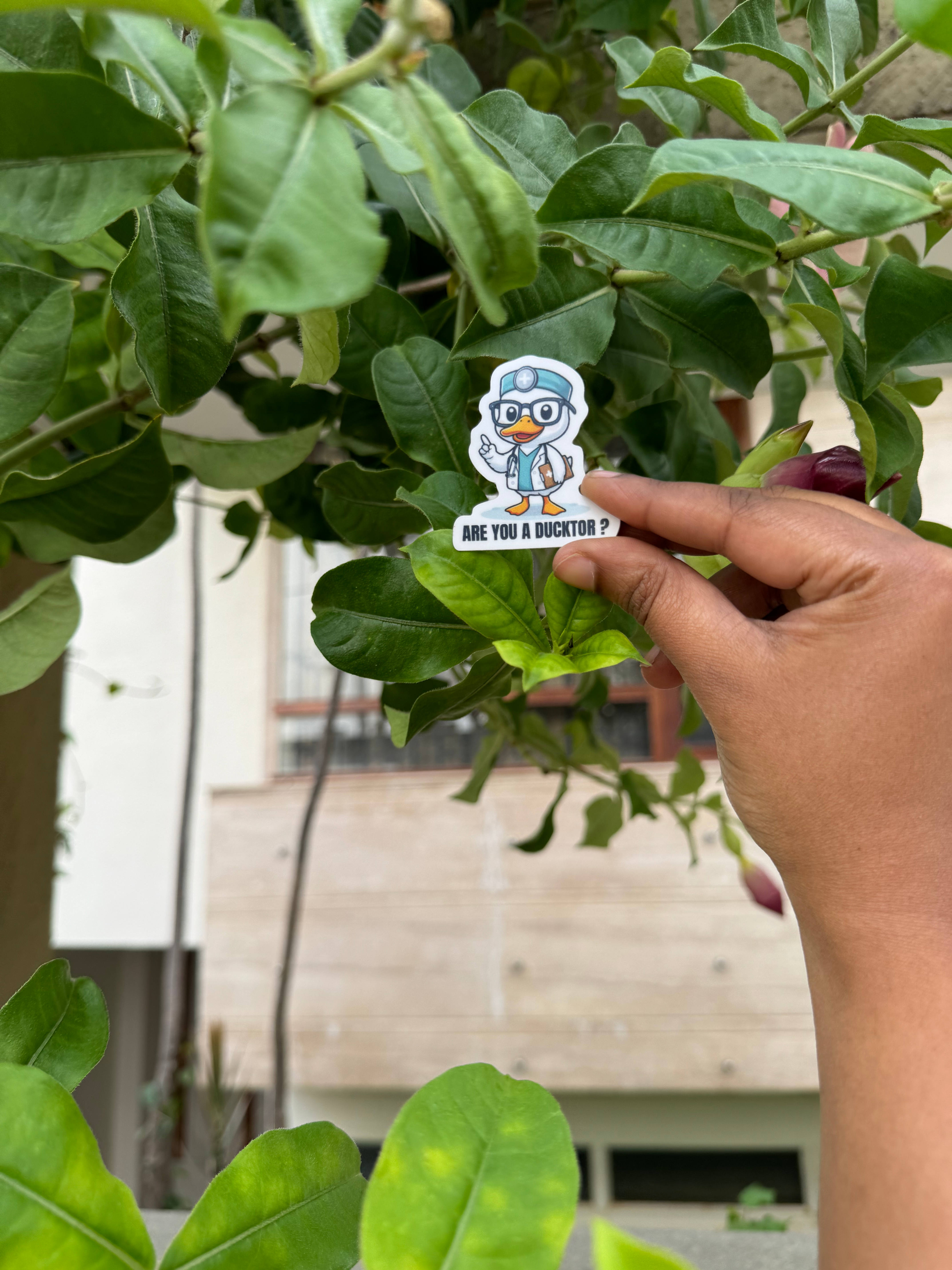 Ducktor Single Sticker