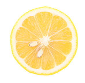 lemon_edited.png