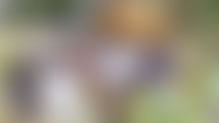 Monthly discipleship program, Aug 2025