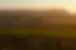 Ranch view